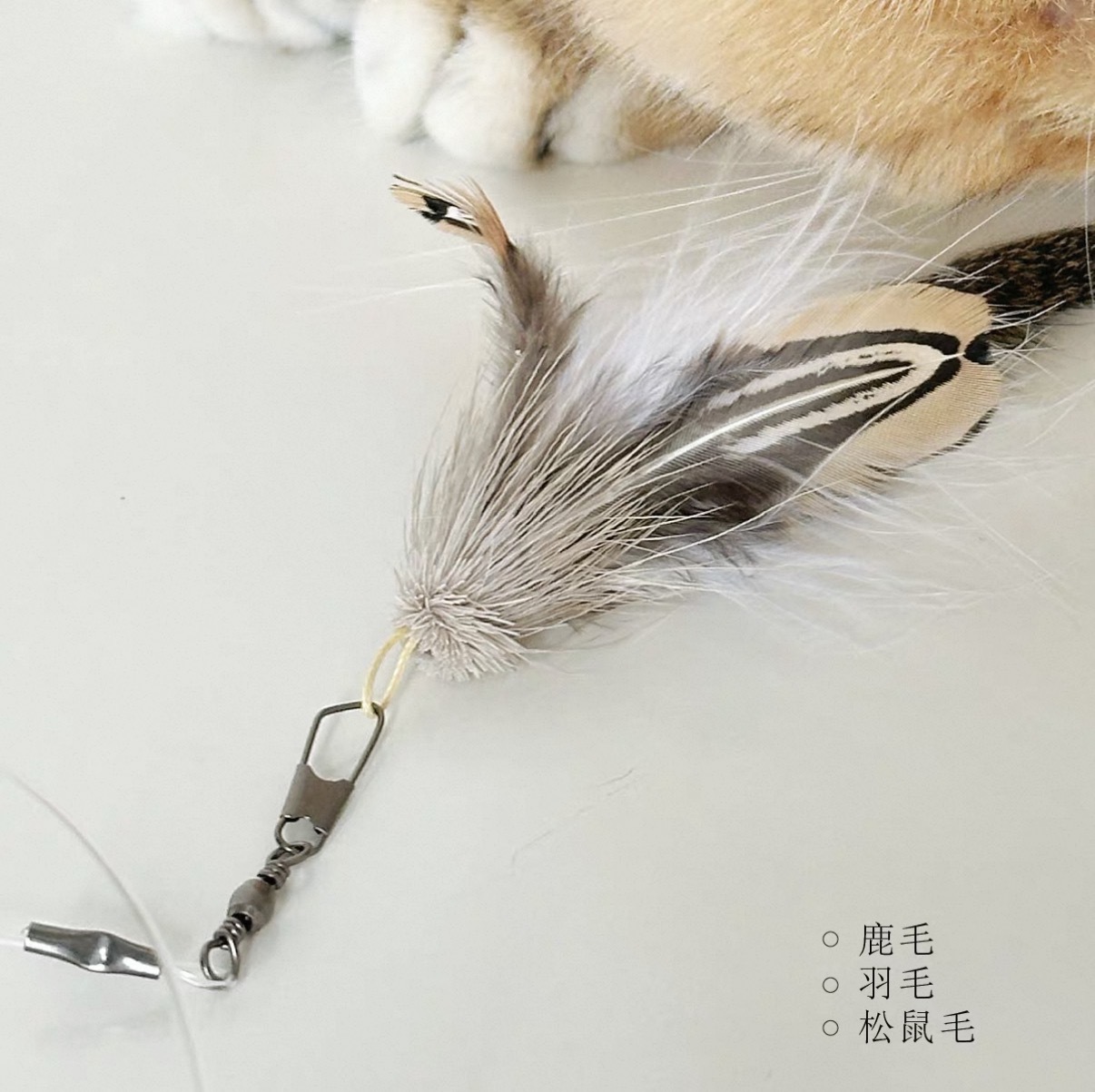 image_8F1560A5-0D4D-41D6-86B3-5B2C2A2AE4D2_1777713570