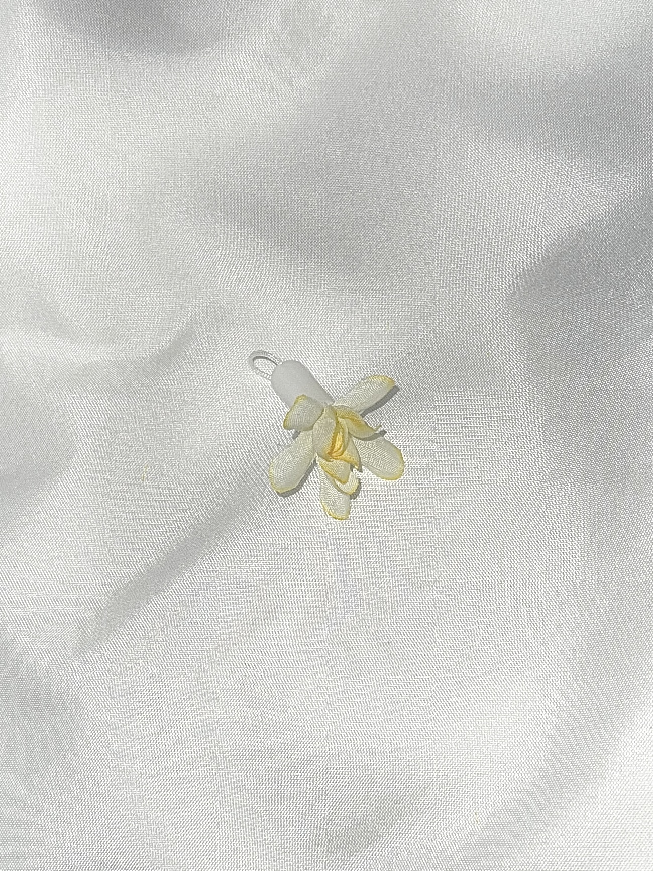 image_9CF38633-FA62-4C11-998C-AAF965854441_1778597897