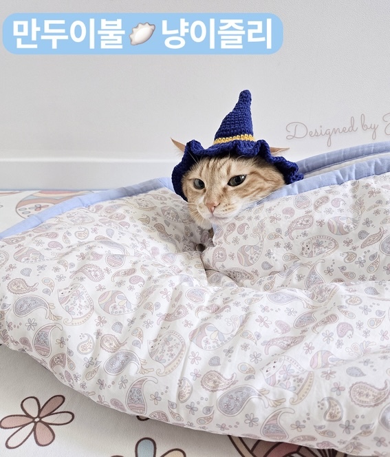 image_7611DB04-14CF-4DAB-ADA7-F6AE16FF2E2C_1782107242