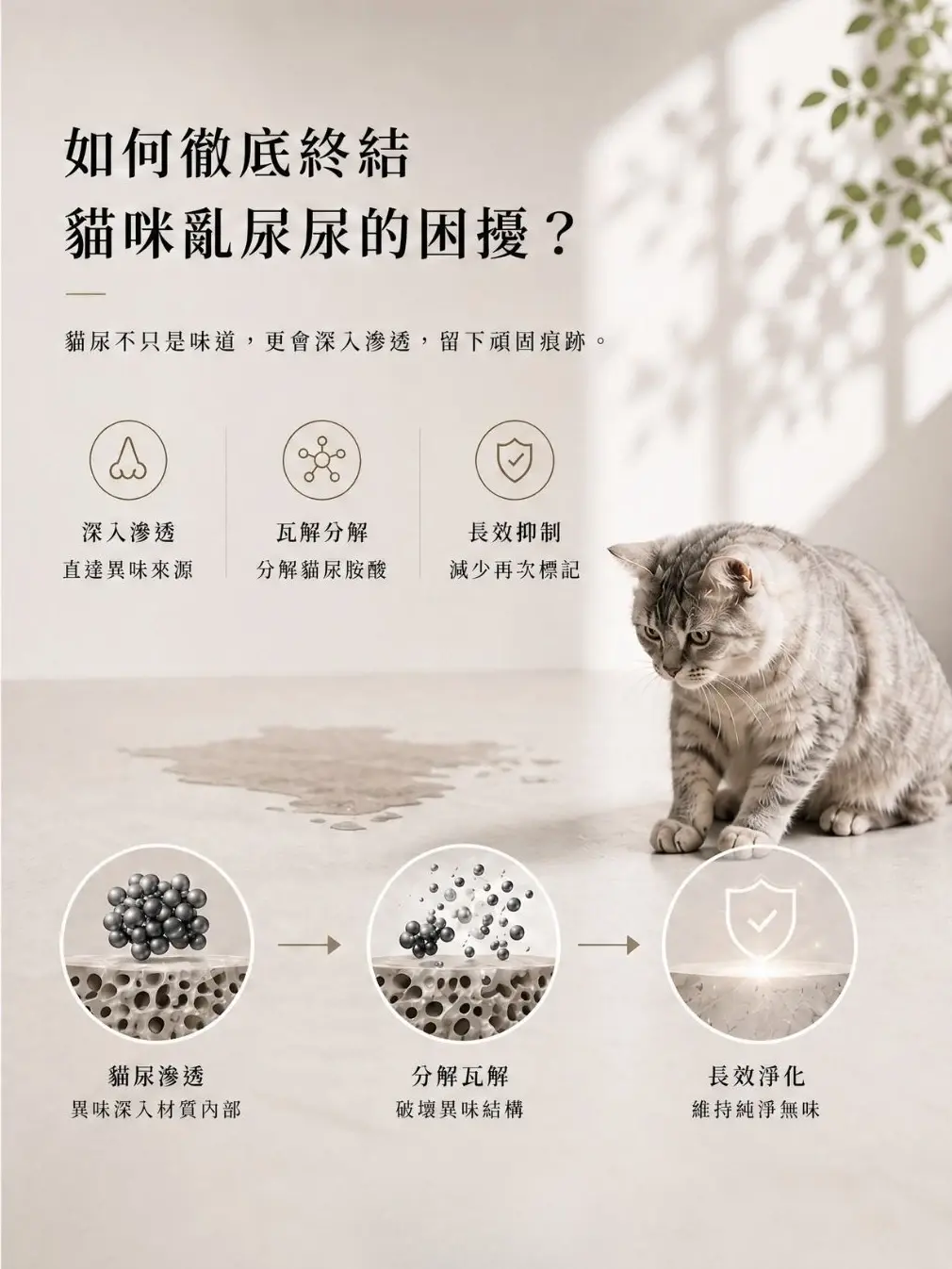 image_8F56F9A7-6302-45C2-8510-DD683A0EF52A_1784798160