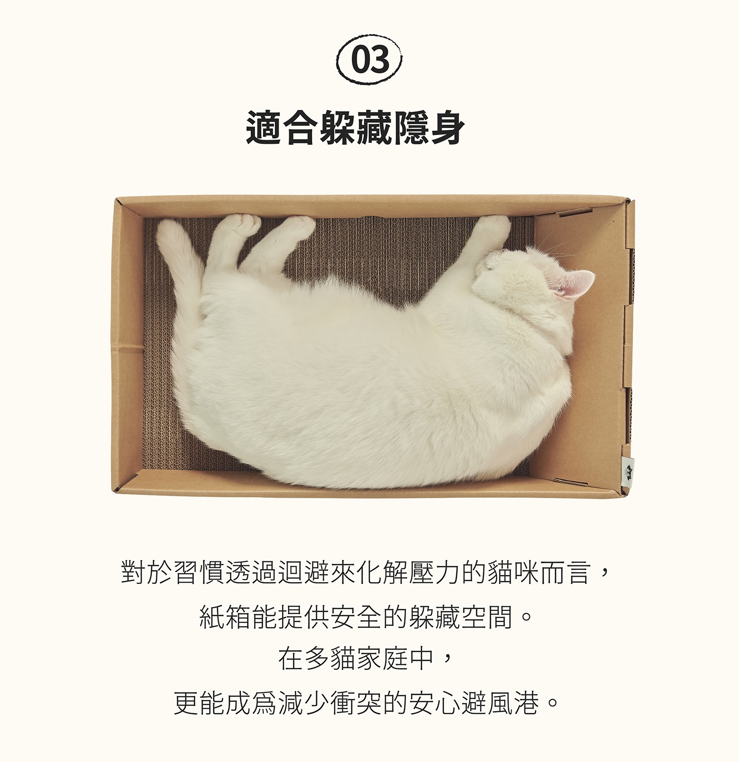 image_A5B63854-7C60-4248-9B34-112E78A9009C_1786764048