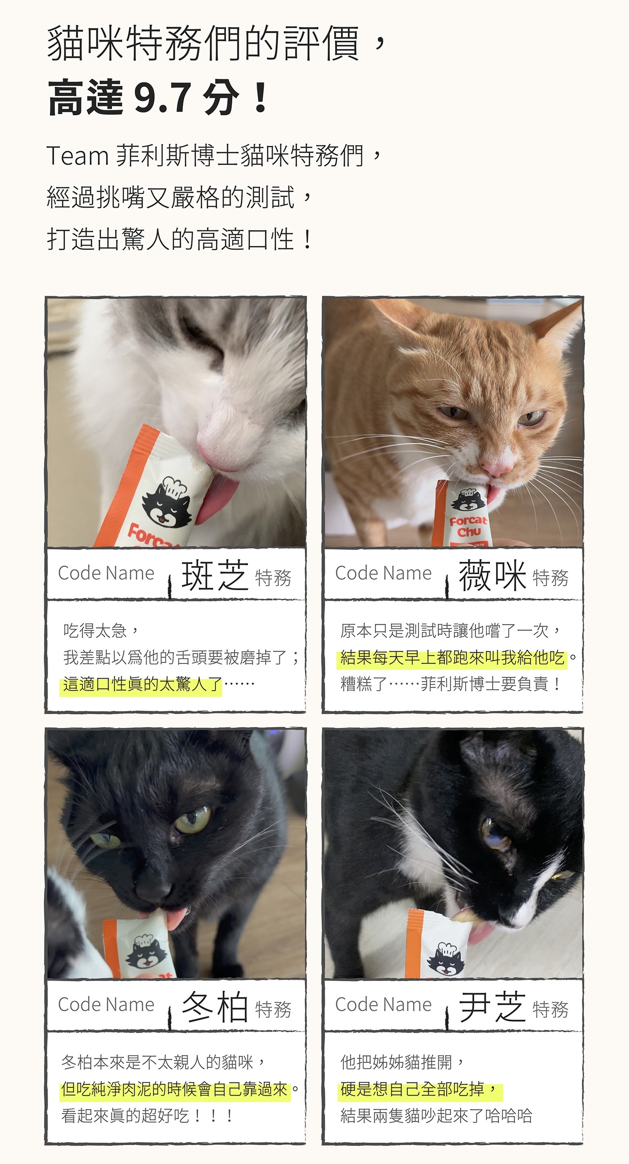 #2 Forcat Chu Sales page (a)-4-01
