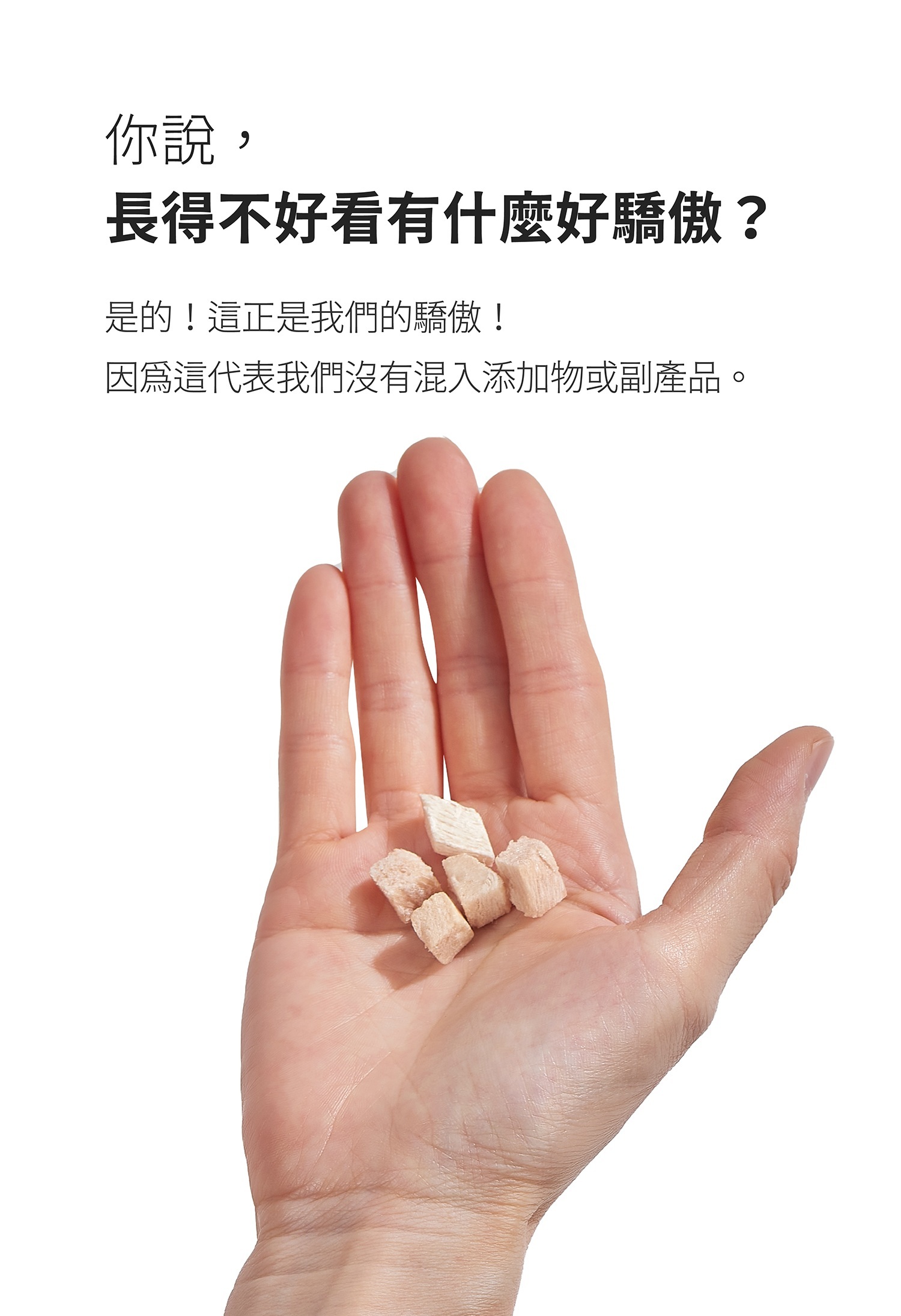 #1 (Renewal) Forcat treat Sales page (b