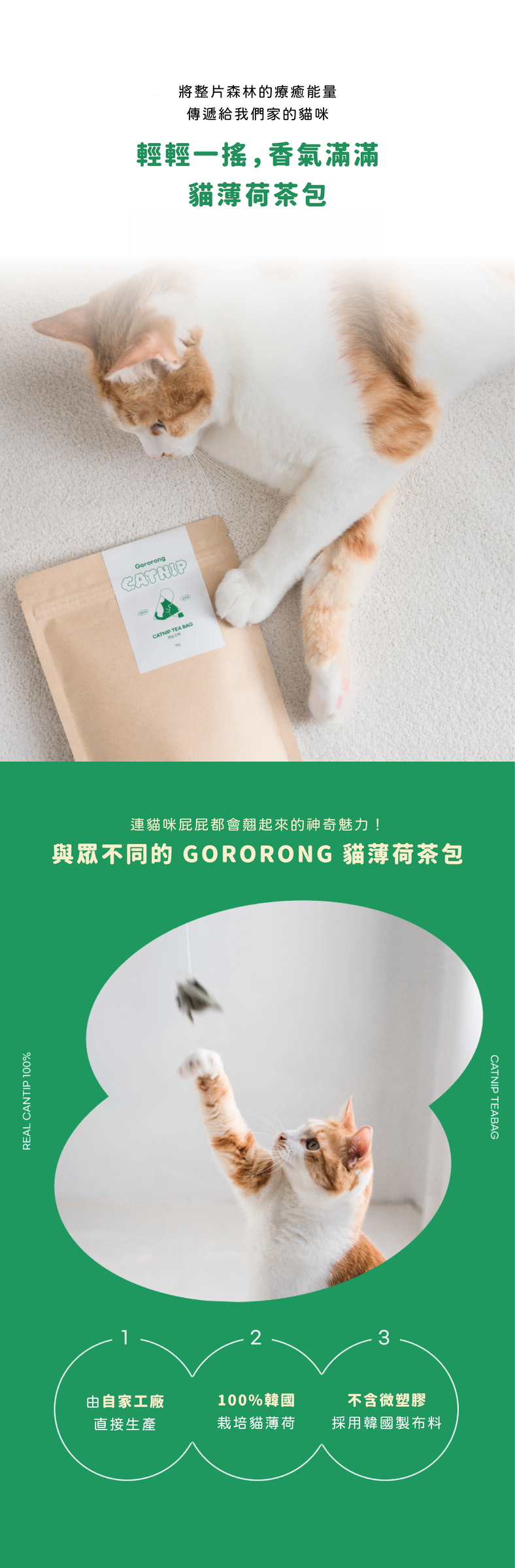 茶包-01 (1)