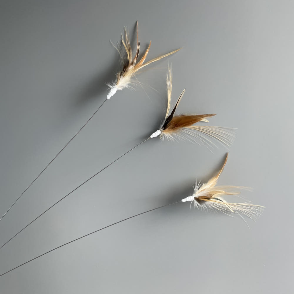 image_C3D08444-7A01-4711-8089-8E928CC5FD53_1787663715