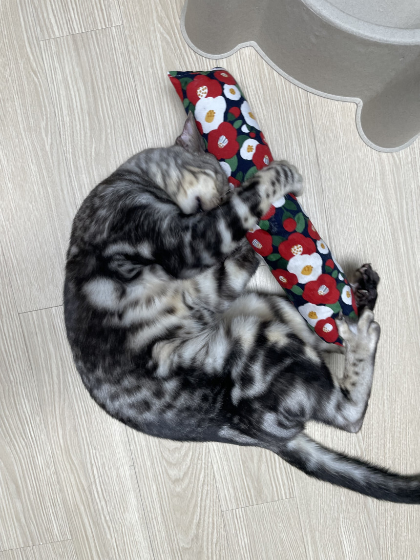 IMG_4073-1701190526834