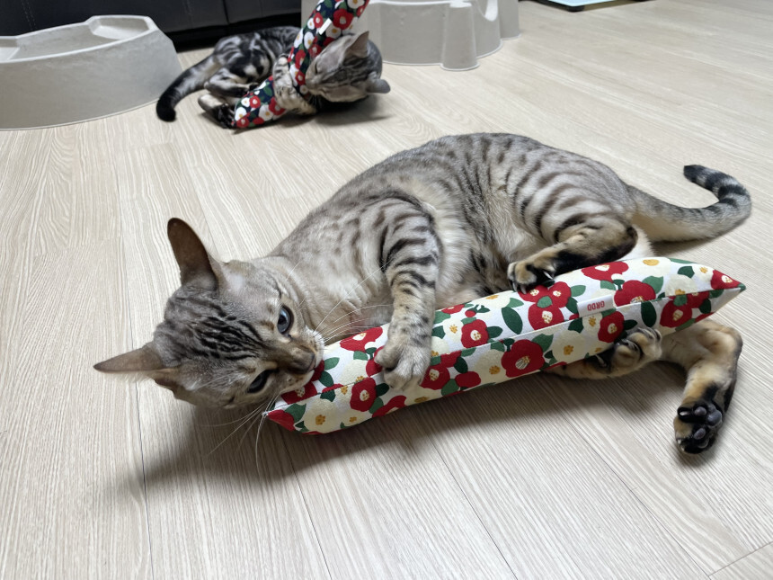 IMG_4074-1701190526844