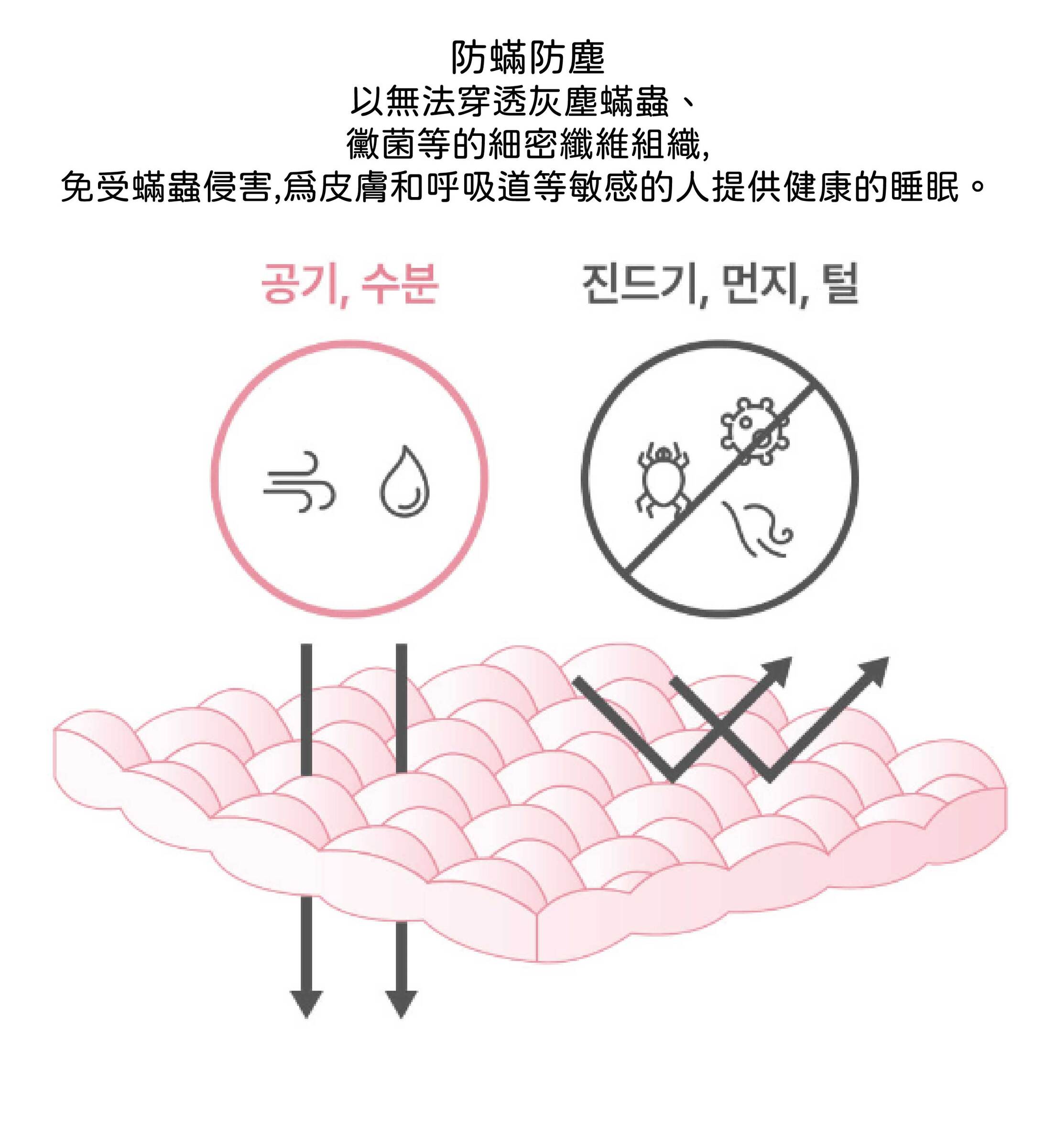 簡介
