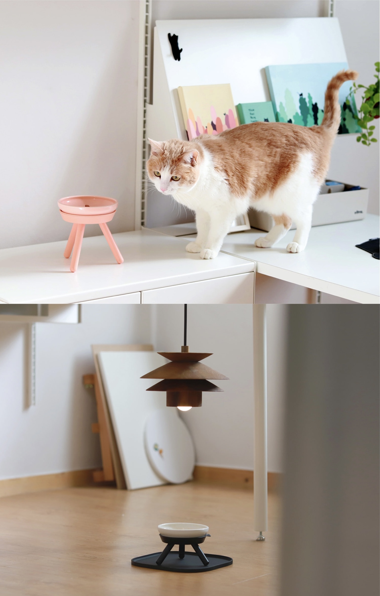 IMG_8334-1705842251495