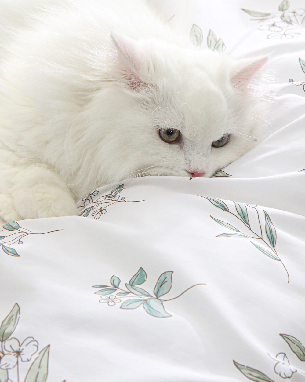 230901_acbedding_flower_02_07