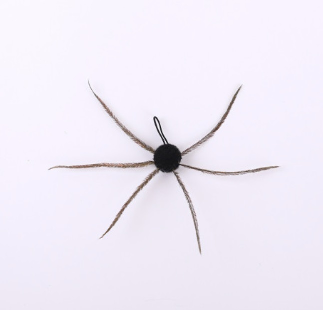 蜘蛛SPIDER000544