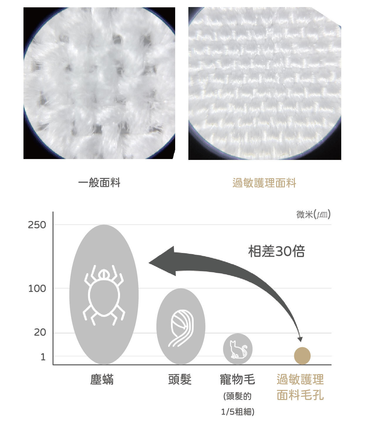 床內文微米比例