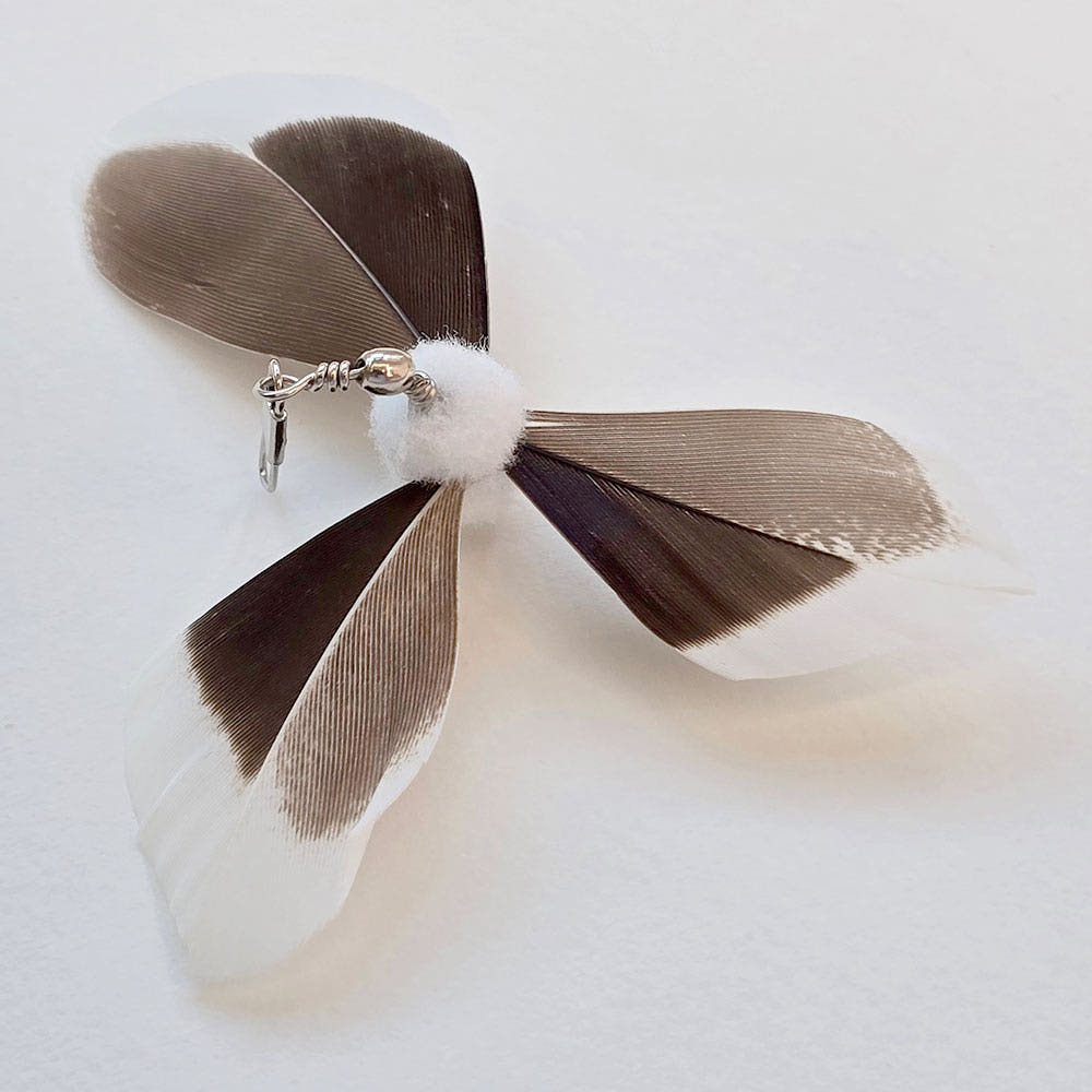 IMG_8117-1734796966555