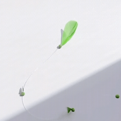 GIF_20241222203915509-1734871166375