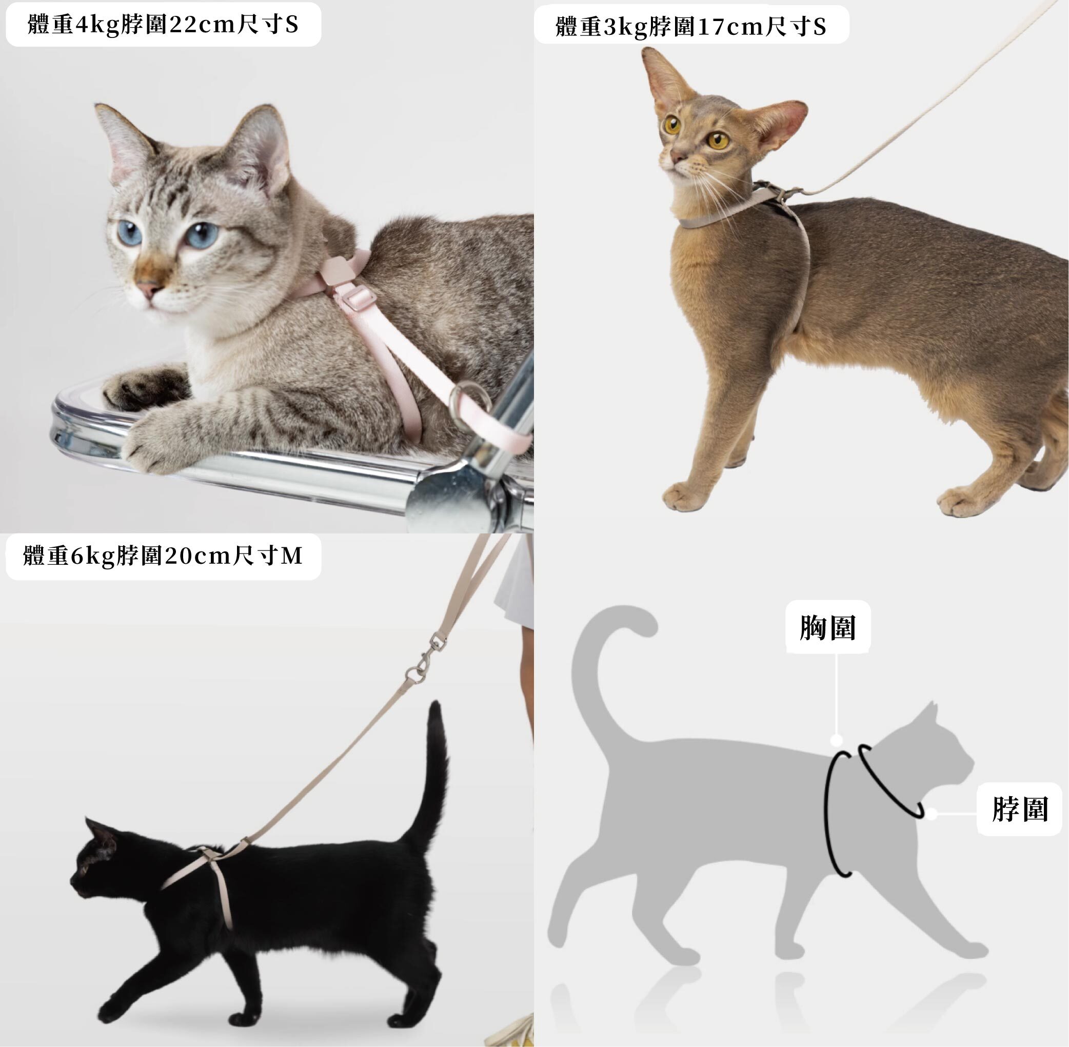 尺寸參考