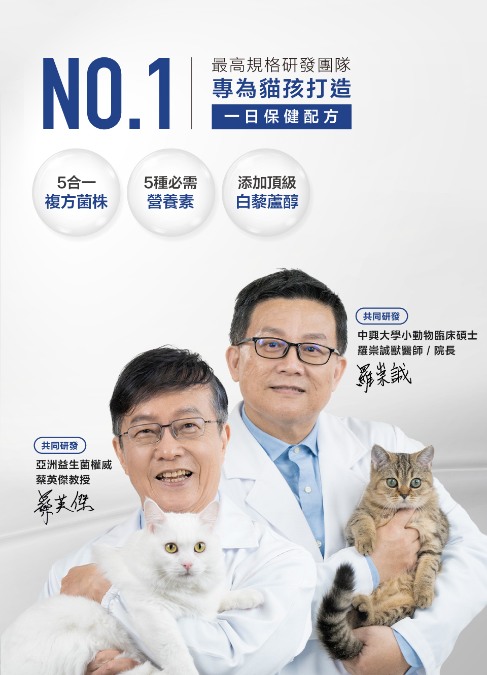image_FB5B2772-DD17-4175-A4ED-F95AD9EB9614_1742313122