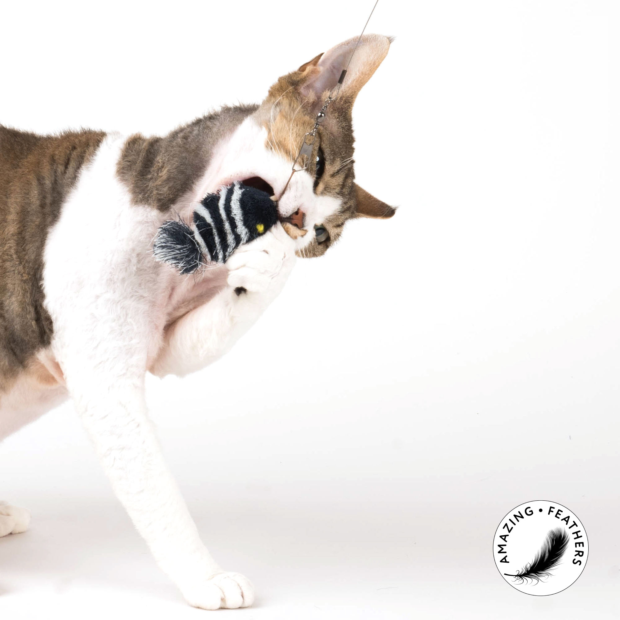 cat-toy-smarttwins-refill-sp197bd-katze5e9f0c974a002