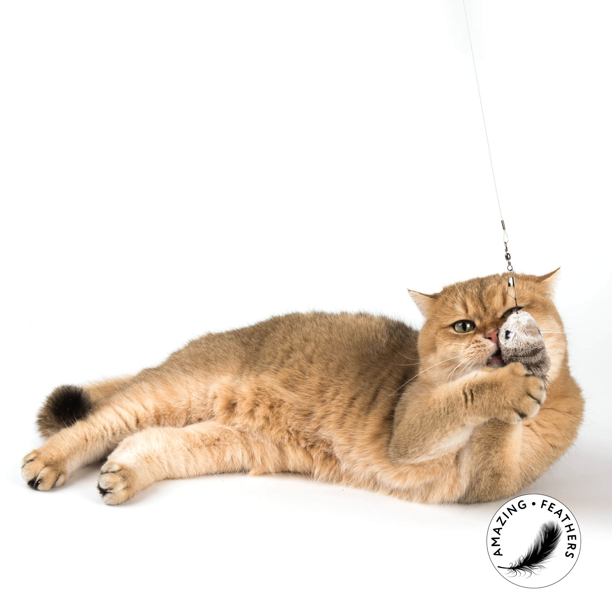 cat-toys-refill-sp191-mouse-anhaenger-katze5e9f0b1cd1e2d