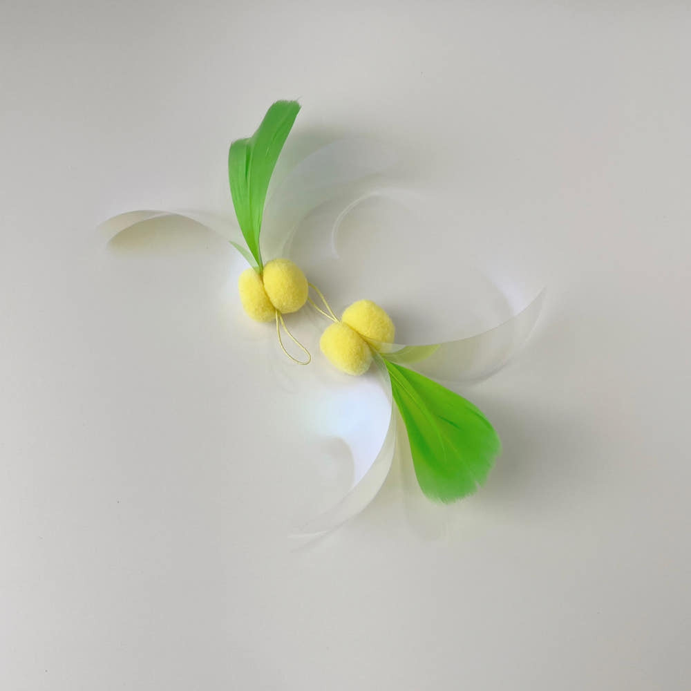 image_CA2A2181-4F4B-4E19-816B-D4D66E60DDCD_1751991746