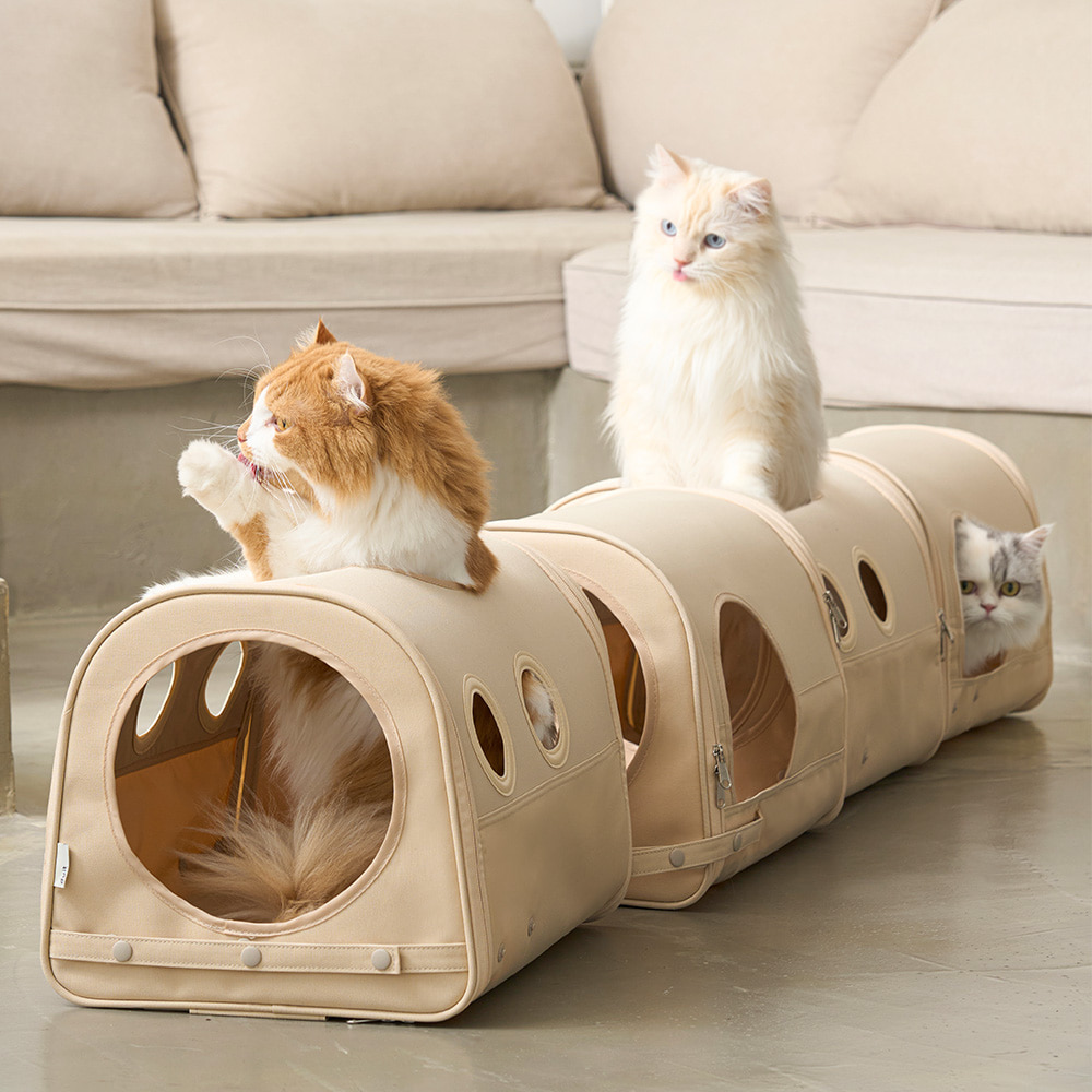 image_AA7E8C7A-86E9-4829-95D5-B52FC2BC0B6E_1758164985