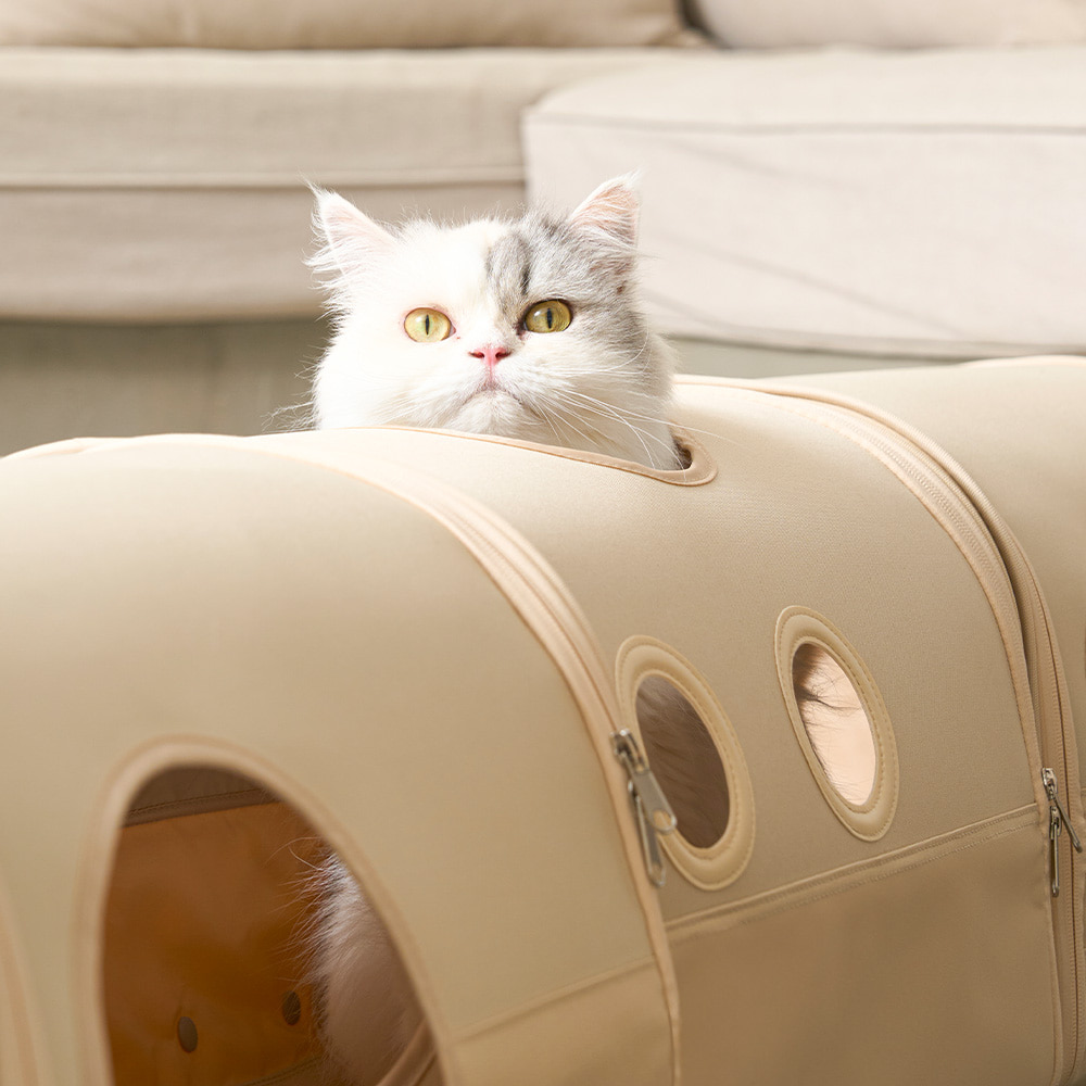 image_9FC71B0B-3793-4221-B313-9BCA058EFA62_1758164985