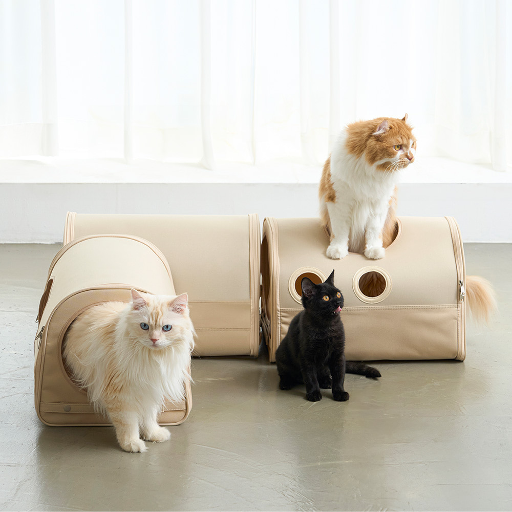 image_257288BC-4C01-49B0-BB8F-0CE491165E65_1758164985