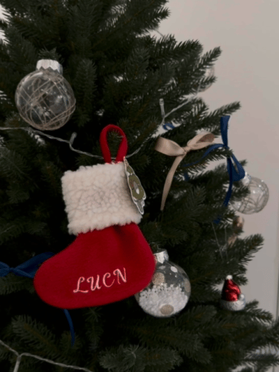 image_8E1BA9CE-6076-4B55-A49C-112AD6C624BA_1763392232