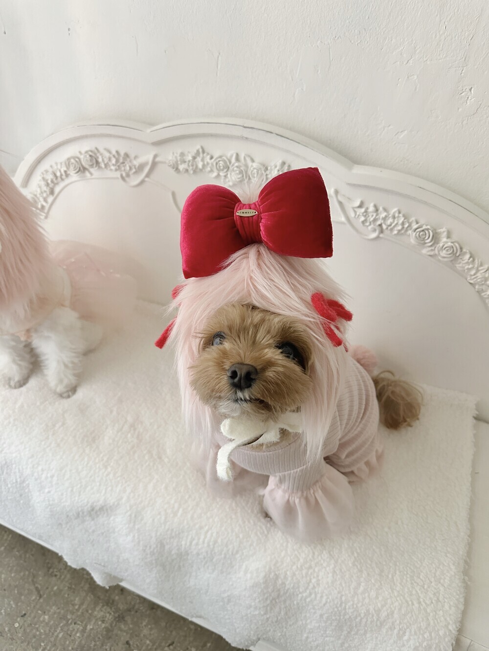 image_1762731876132_1000