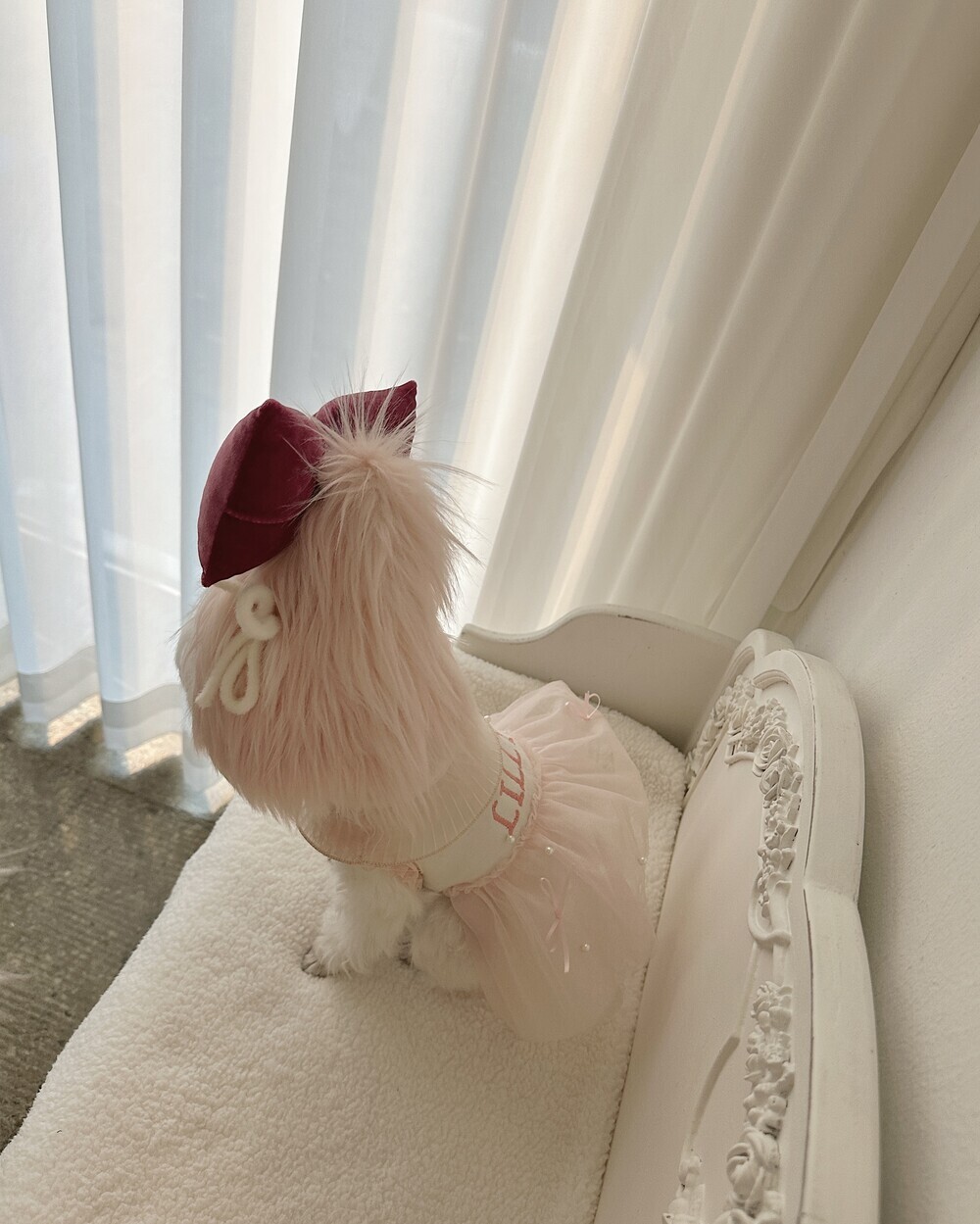 image_1762731876857_1000