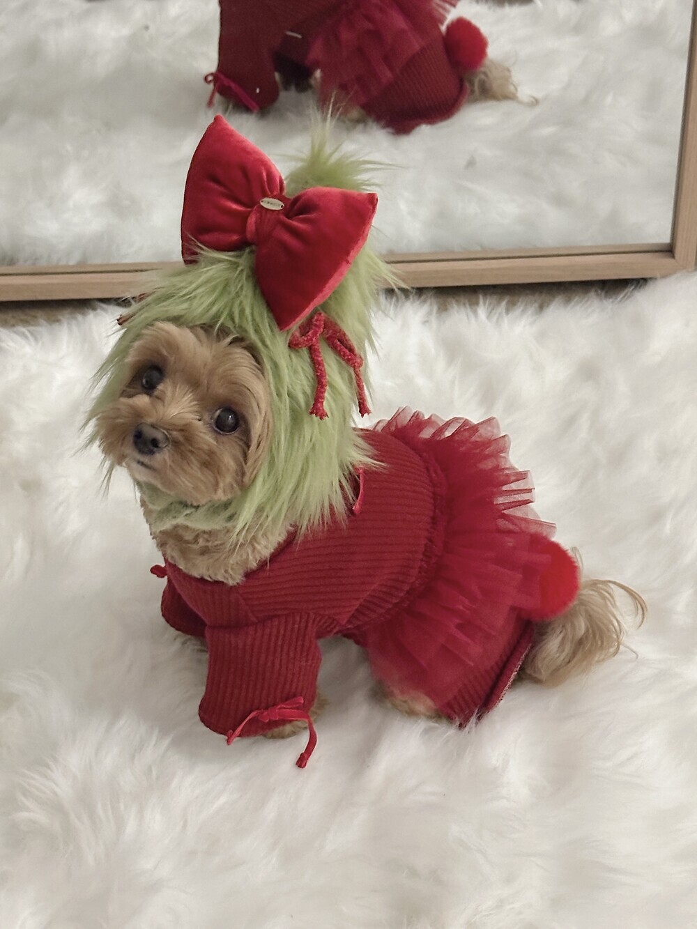 image_1733021883310_1000