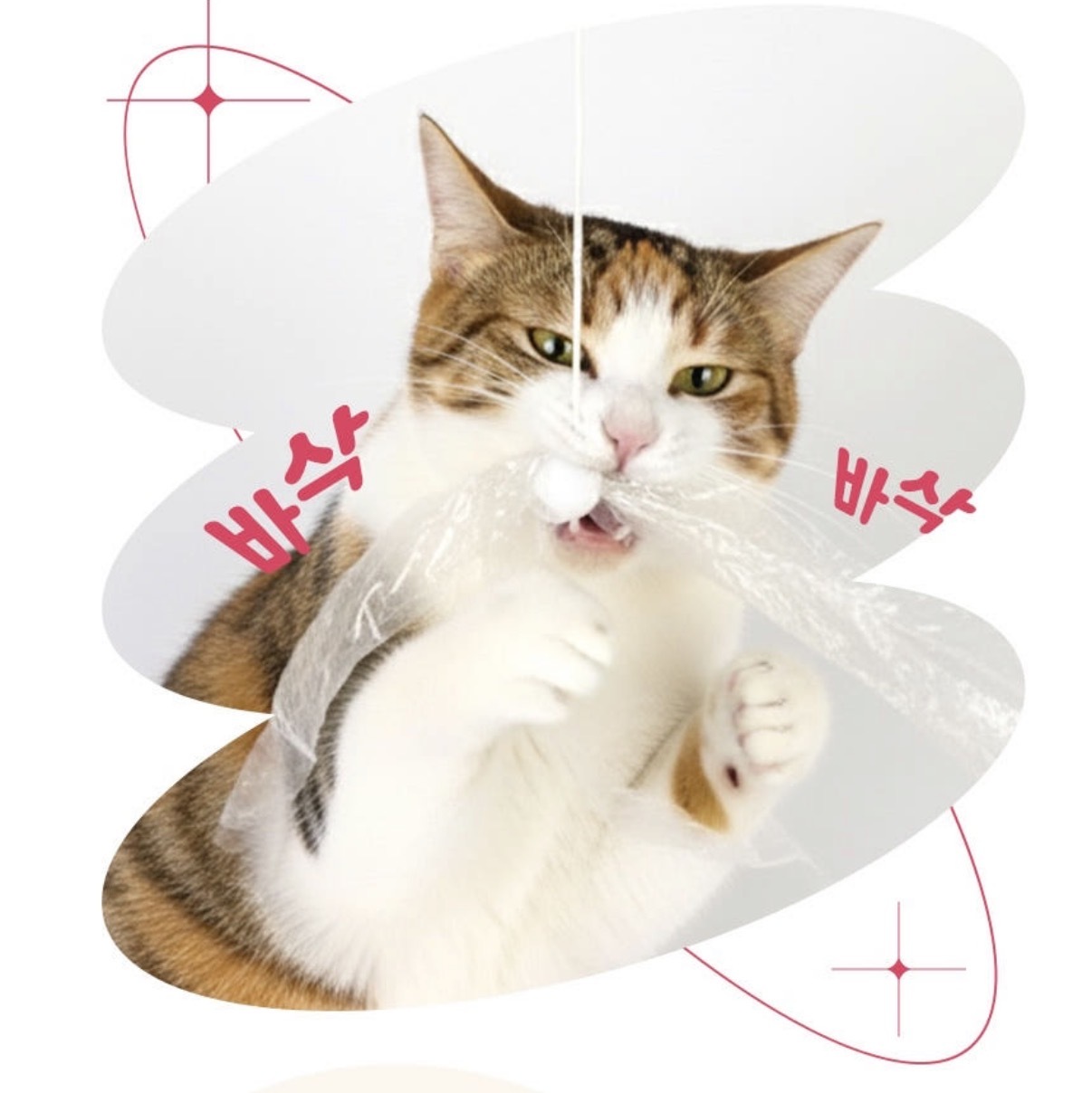 image_42BC3CA9-147C-452E-B3E8-8348D4E6424B_1763775765