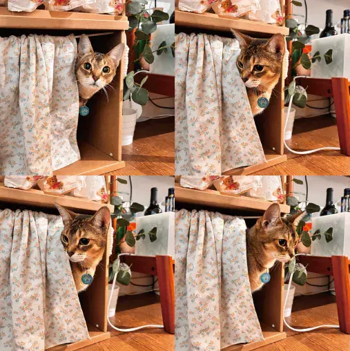 image_E1D7F4E5-A350-45D3-A75F-12845A4D59E0_1763887576