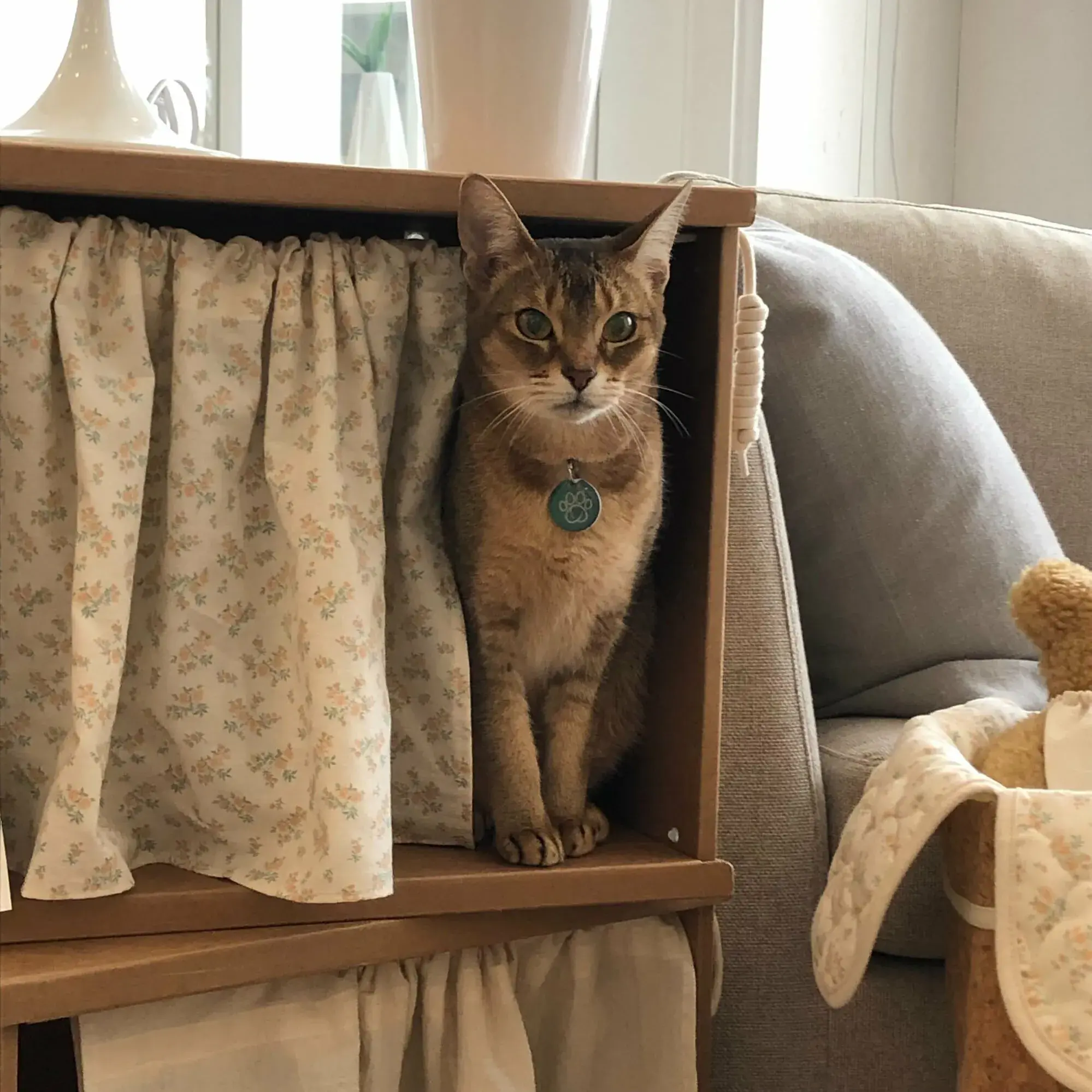 image_EA8F56FB-5CED-47A5-ACE6-F92BCE301264_1763887576