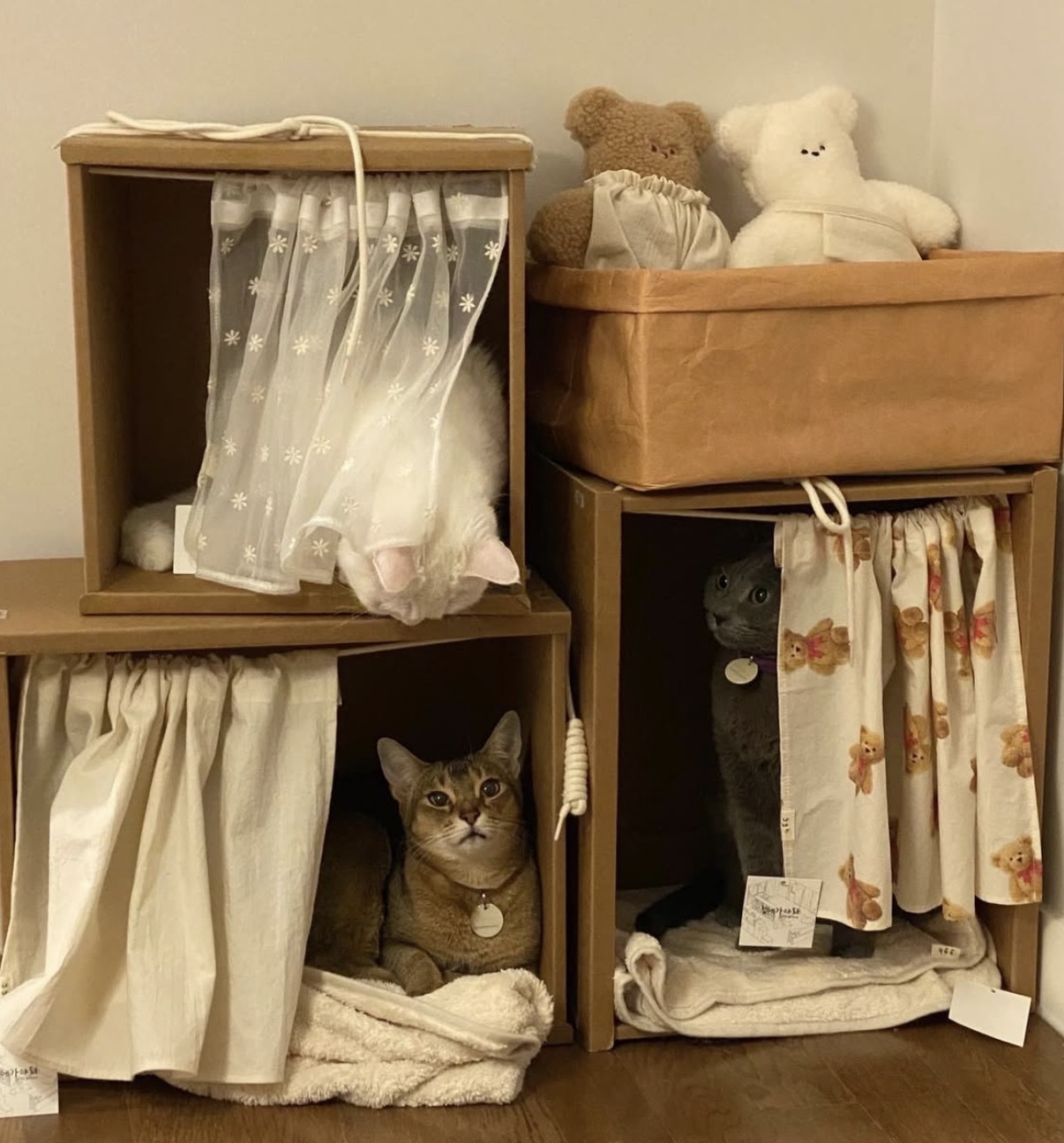 image_3ED24944-F406-461B-8C90-A43A0ACCC7D8_1763887885