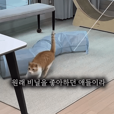 image_85A09A06-A5FF-40F3-98E4-AF50B353B4A1_1764056124