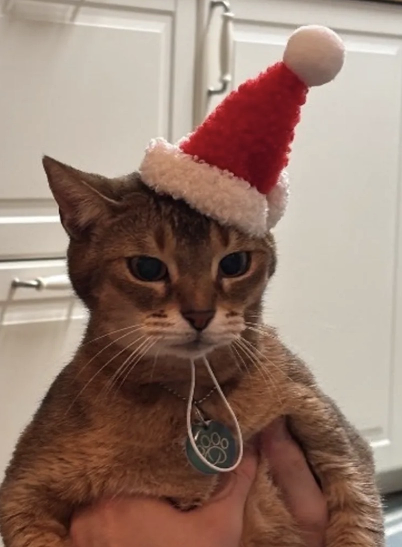 image_23CC33DF-7EBC-4956-9C5B-9EEFD912E1F6_1764074844