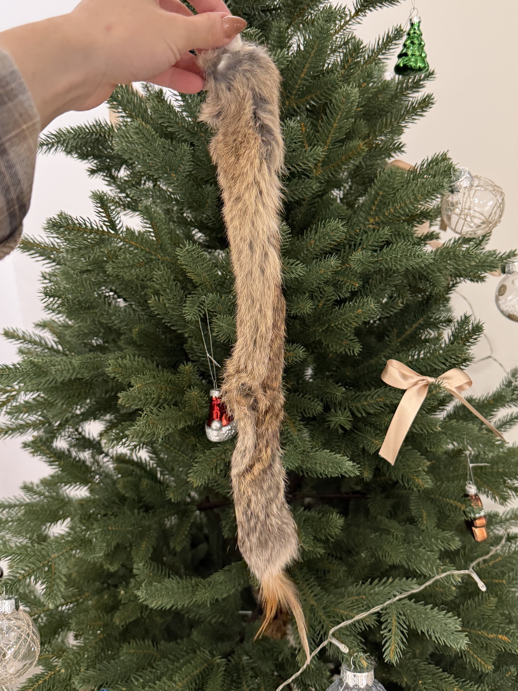 image_95B98658-03B7-42CE-8D87-ACF9046A03B3_1764075012