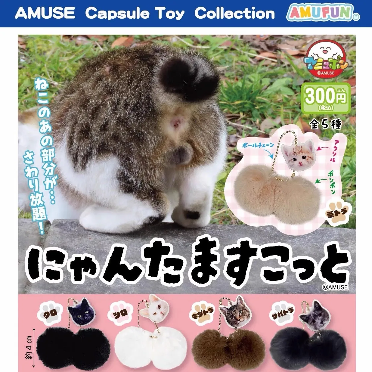 image_38F7B154-930A-4313-BF5A-8E61D5C0E795_1764075827