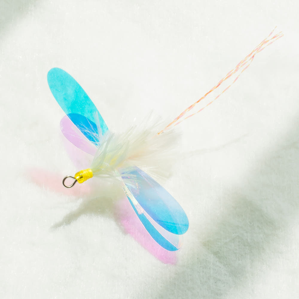 image_DCD2B37D-03D6-4A61-AE7F-99293164C1E7_1764077320