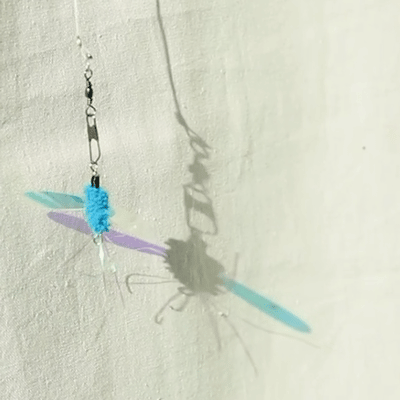 image_CD55A509-60AE-4FDA-A90D-67CB6A41D90C_1764077505