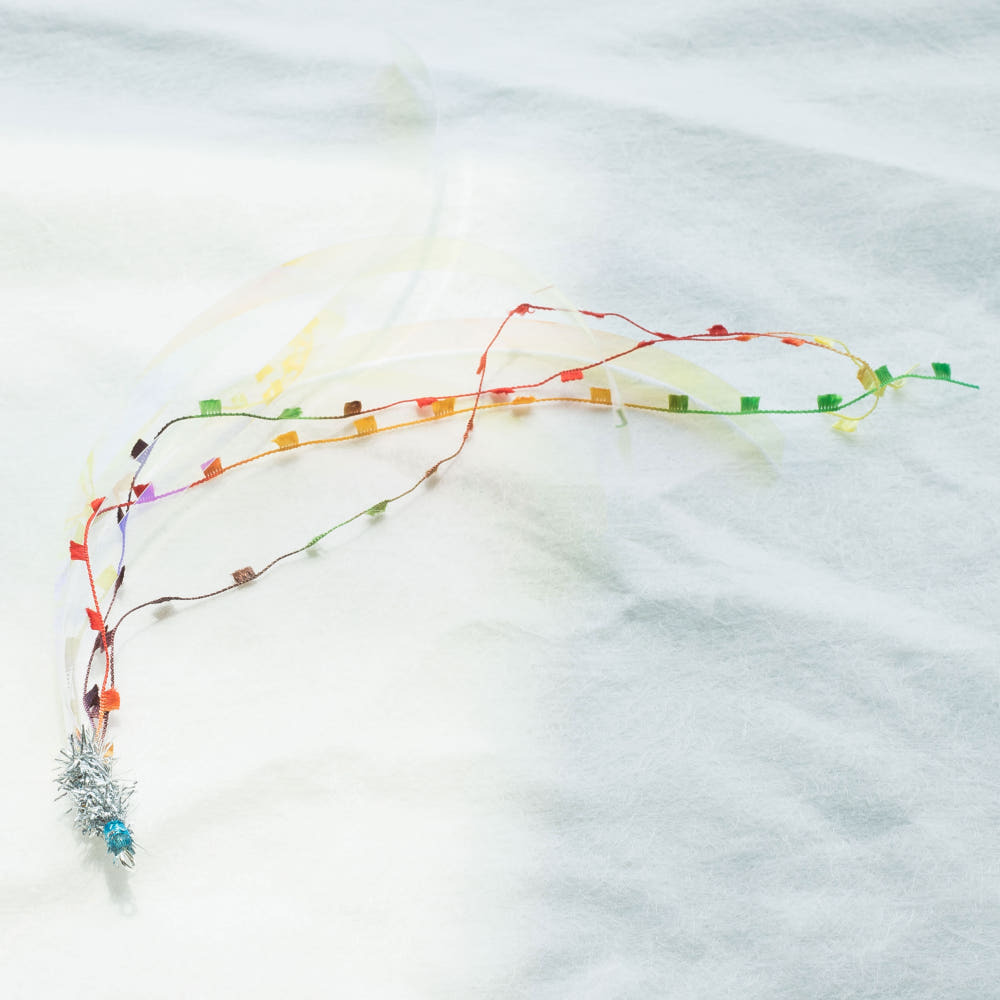 image_4126FD9D-FD4E-4507-8B9B-BF0B705650BE_1764077566