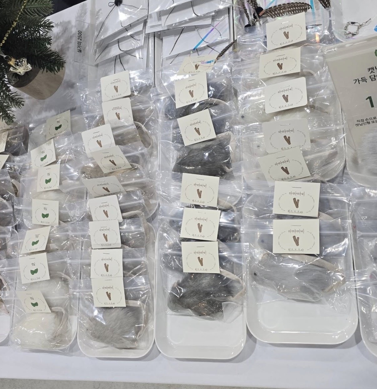 image_862DAECE-1E2B-434C-9394-F1CCA119CF9B_1764388030