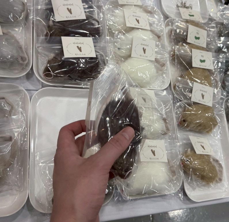 image_794C92AD-80C1-47C7-B4EE-41E1FA65070D_1764388030