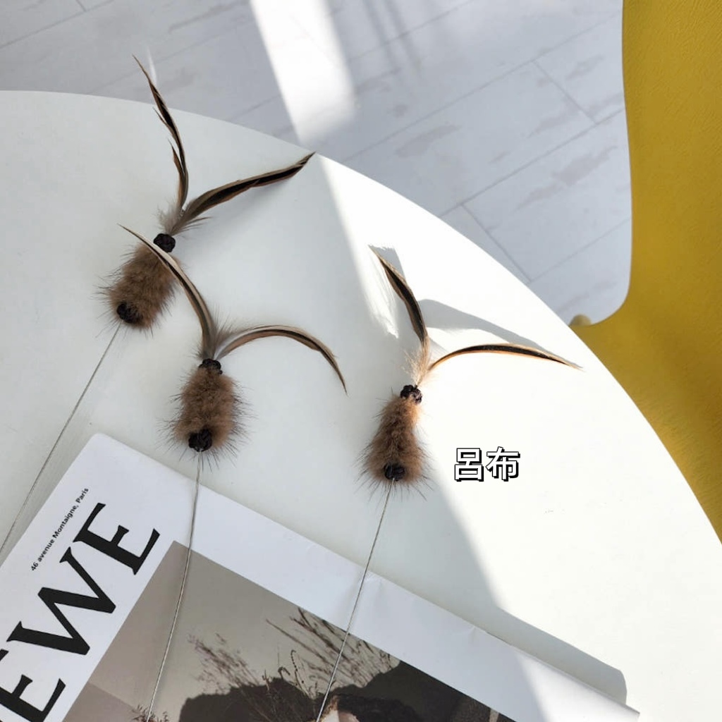 image_2D9D2393-C2D7-4299-ABB8-ABE9DE2F09F9_1764388110