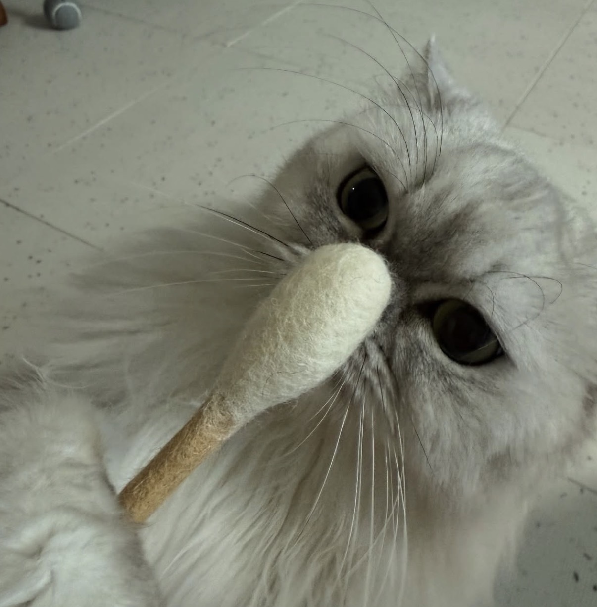 image_F3FDEC48-A1C7-46D1-B6F1-866D3F7BF2A6_1764605856