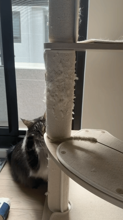 image_0449B39D-8936-4833-AB85-5B701ABEB6FD_1764996133