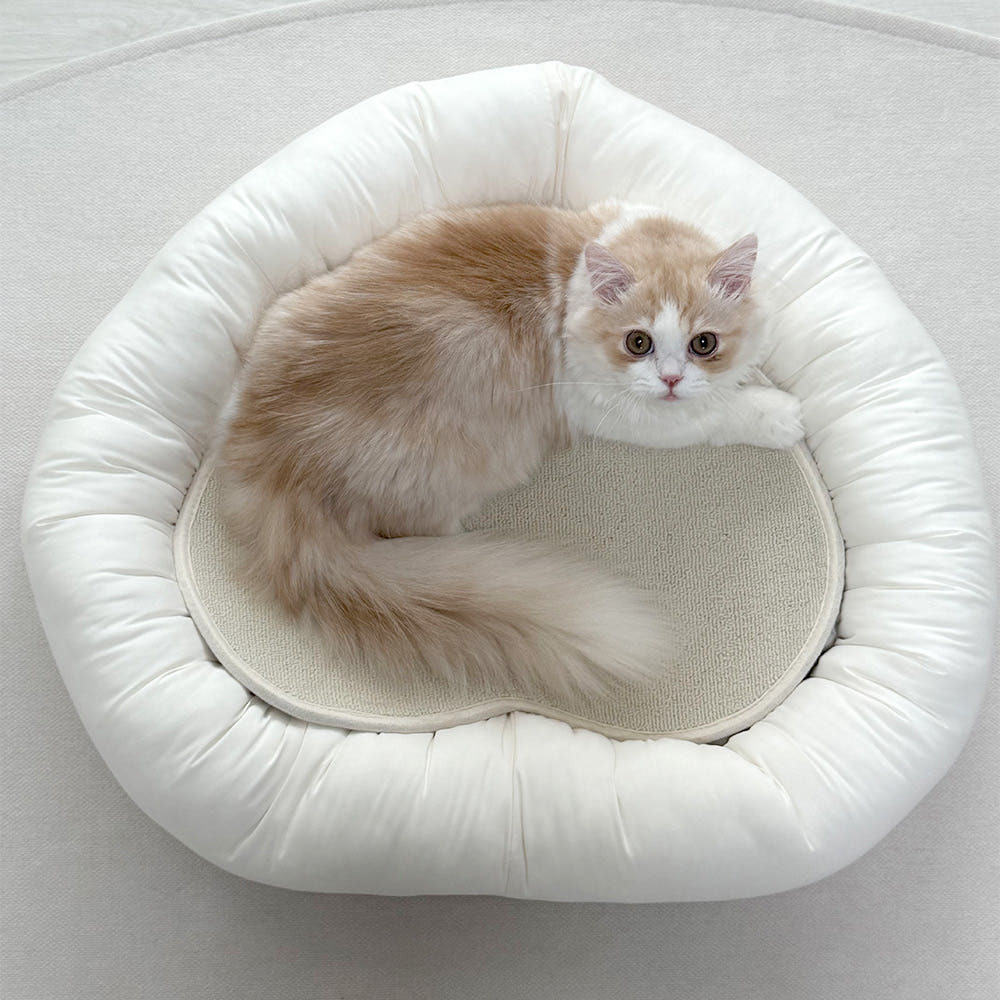 image_8F691981-8371-4E19-A6A3-5489CA814B8E_1765168225