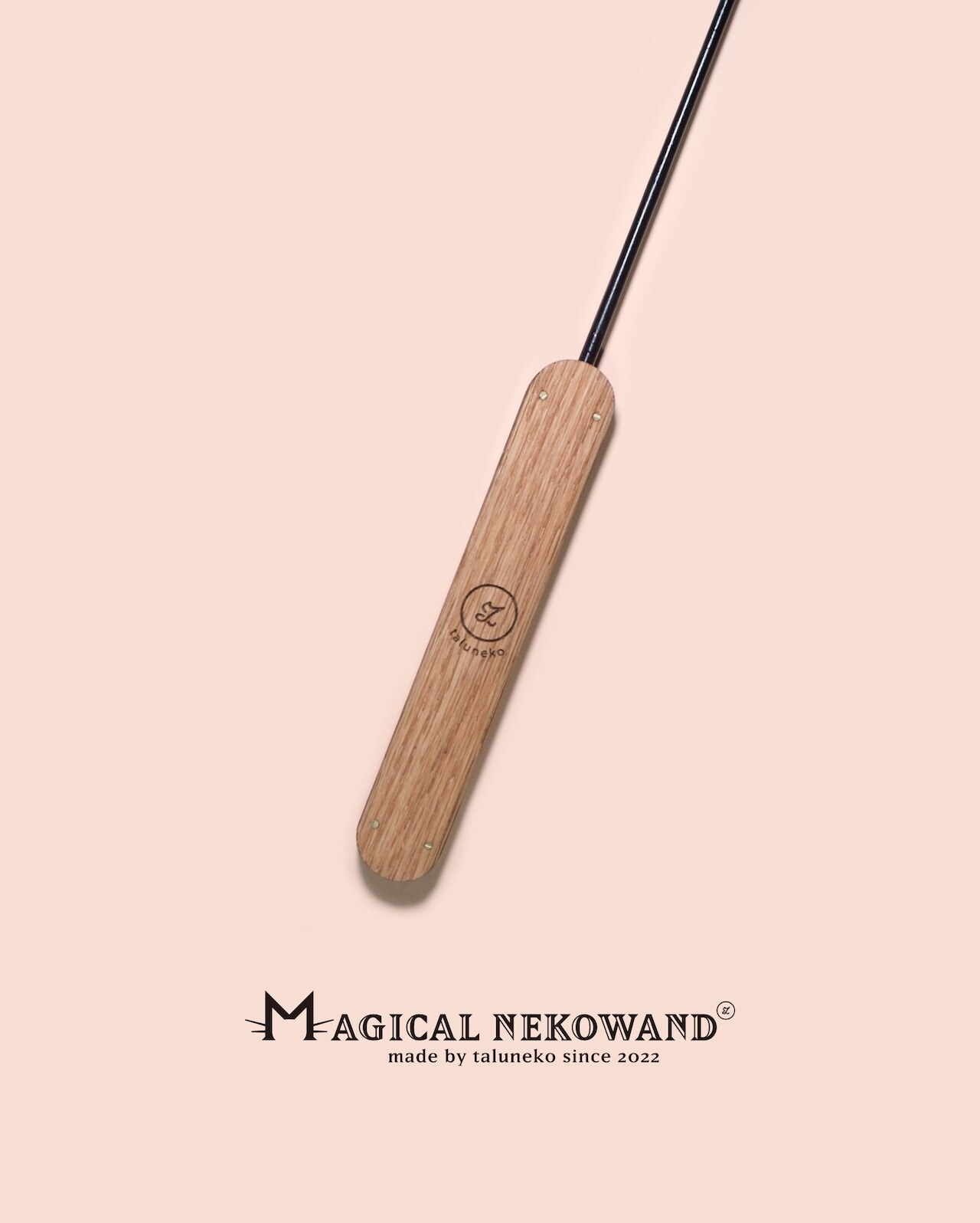 image_55366541-07C5-42F2-BDDB-E9D9331121BB_1765447653