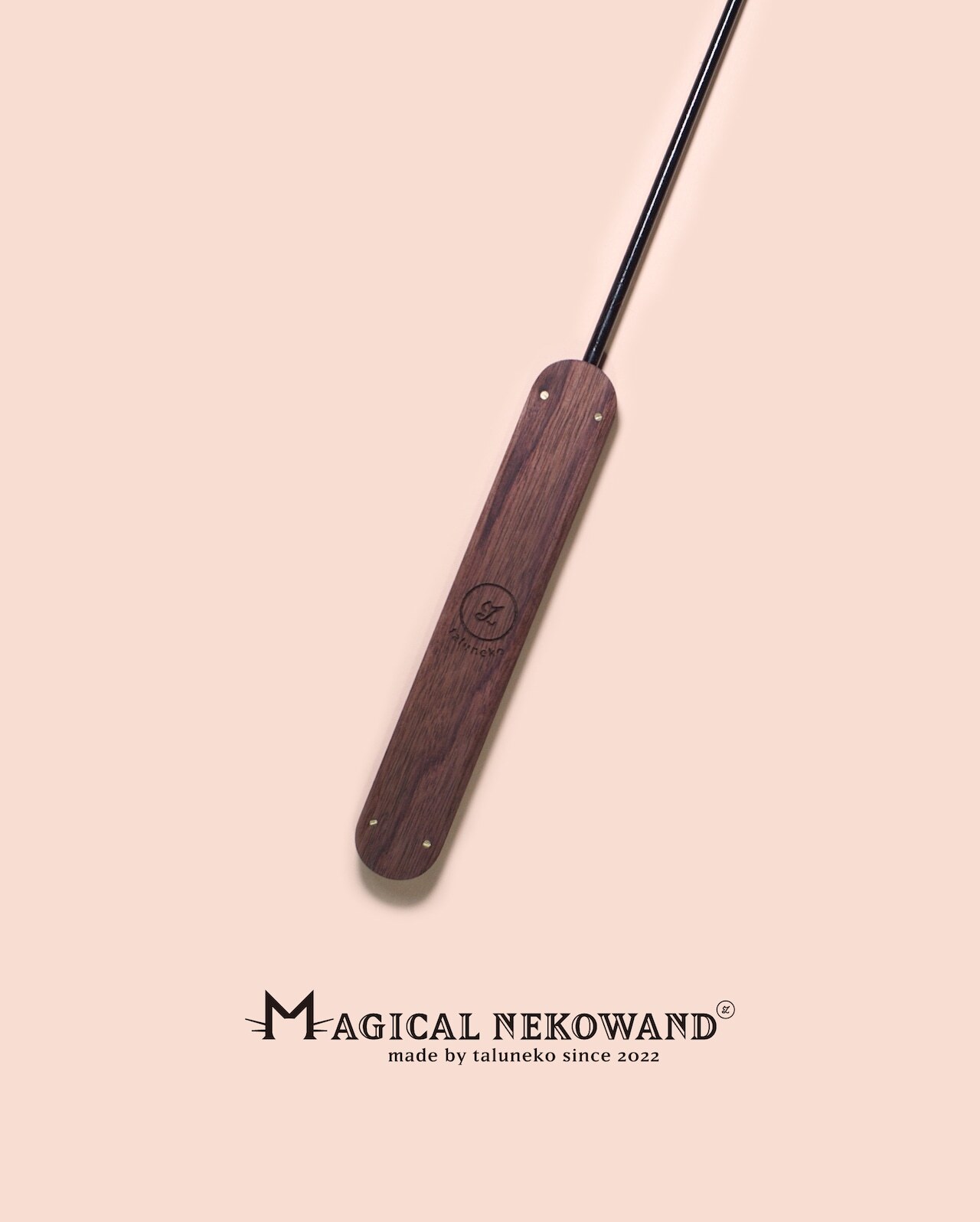 image_58D8FA43-F771-434B-81DA-E62FA3E65123_1765447653