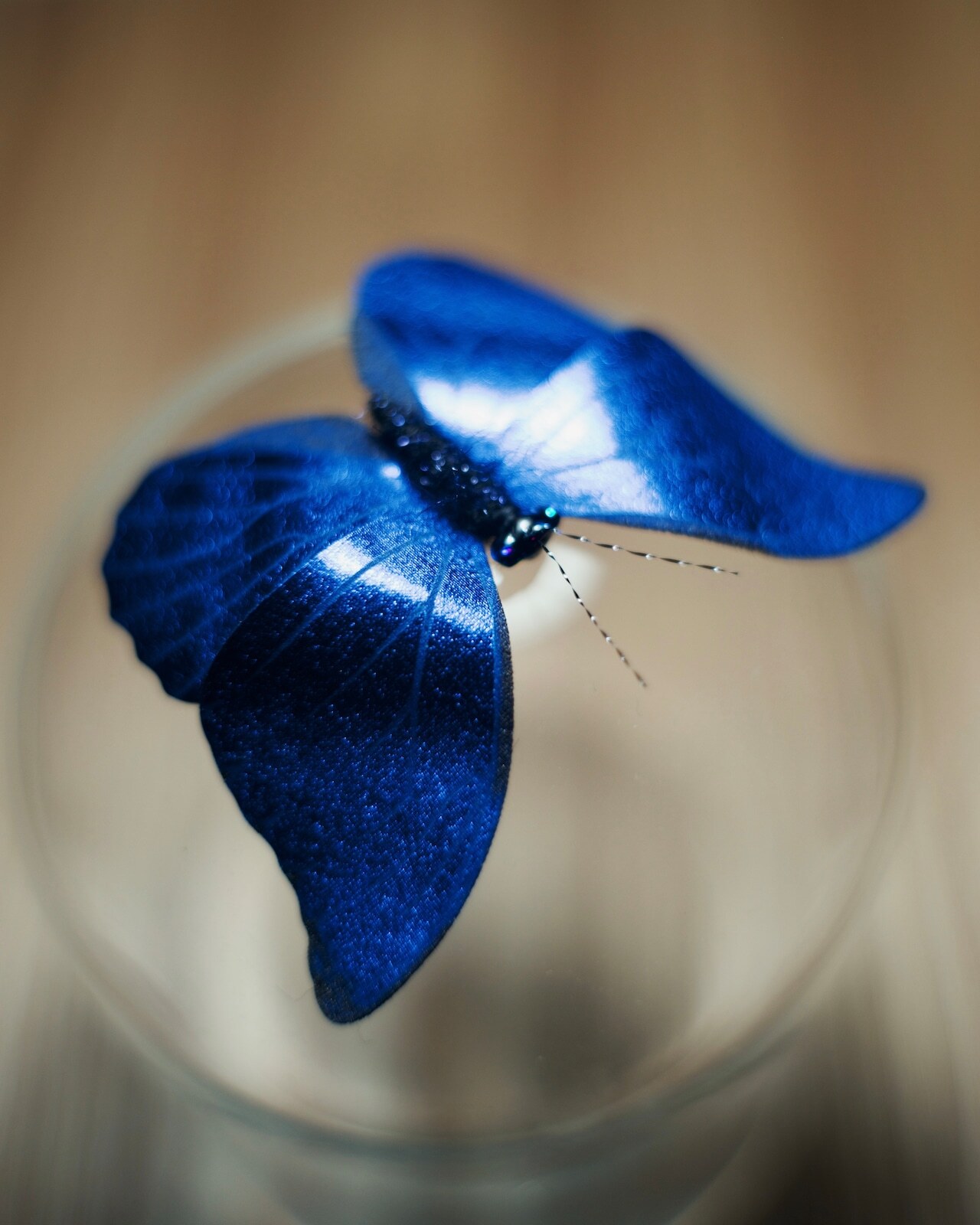 image_5F213DA4-5617-4B95-B861-1702751A5108_1765462149